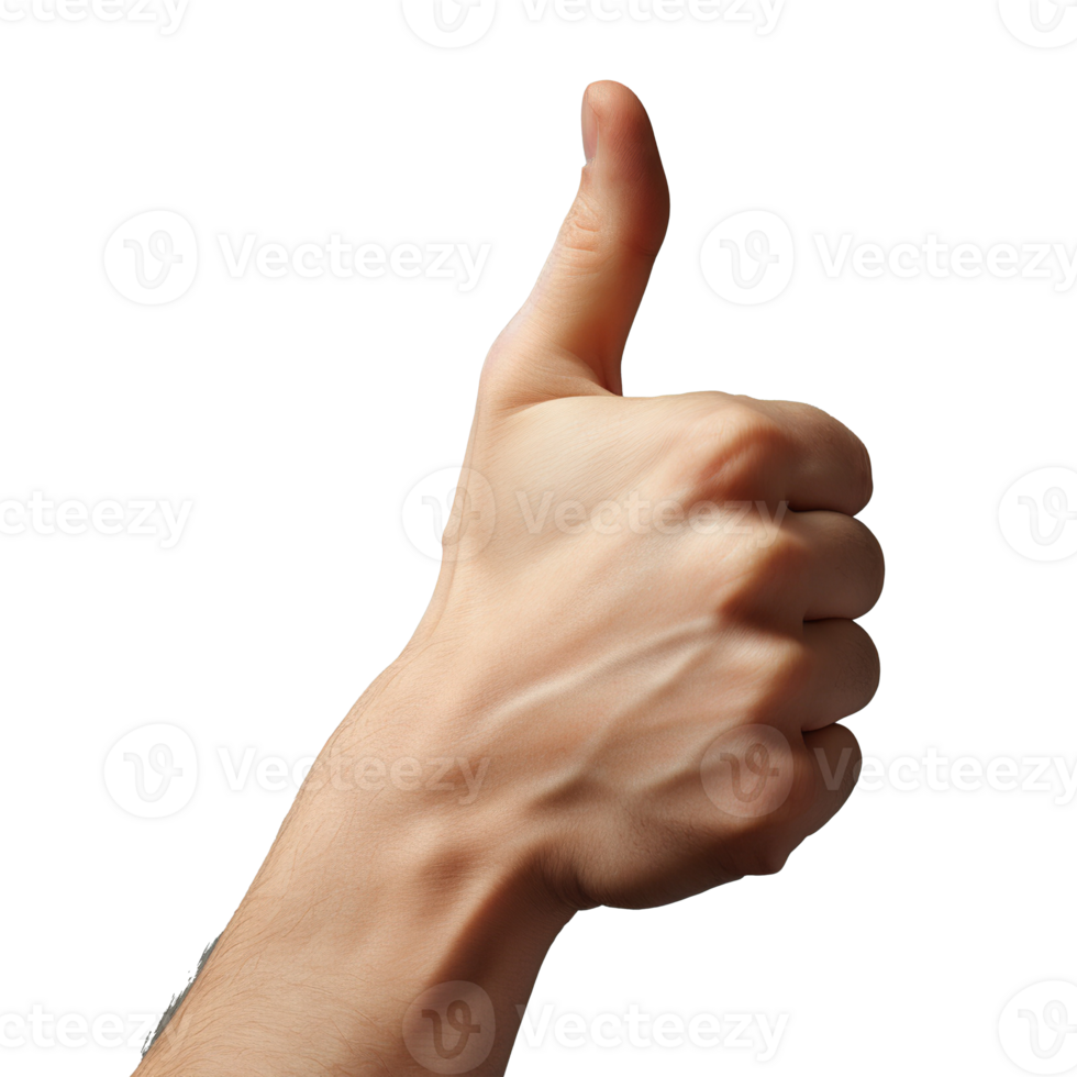 Thumbs Up Gesture Isolated on Transparent Background. Like, Encouragement, Support, Achievement png