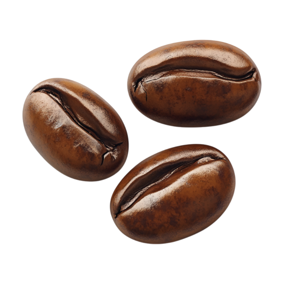 a coffee beans on a transparent background png