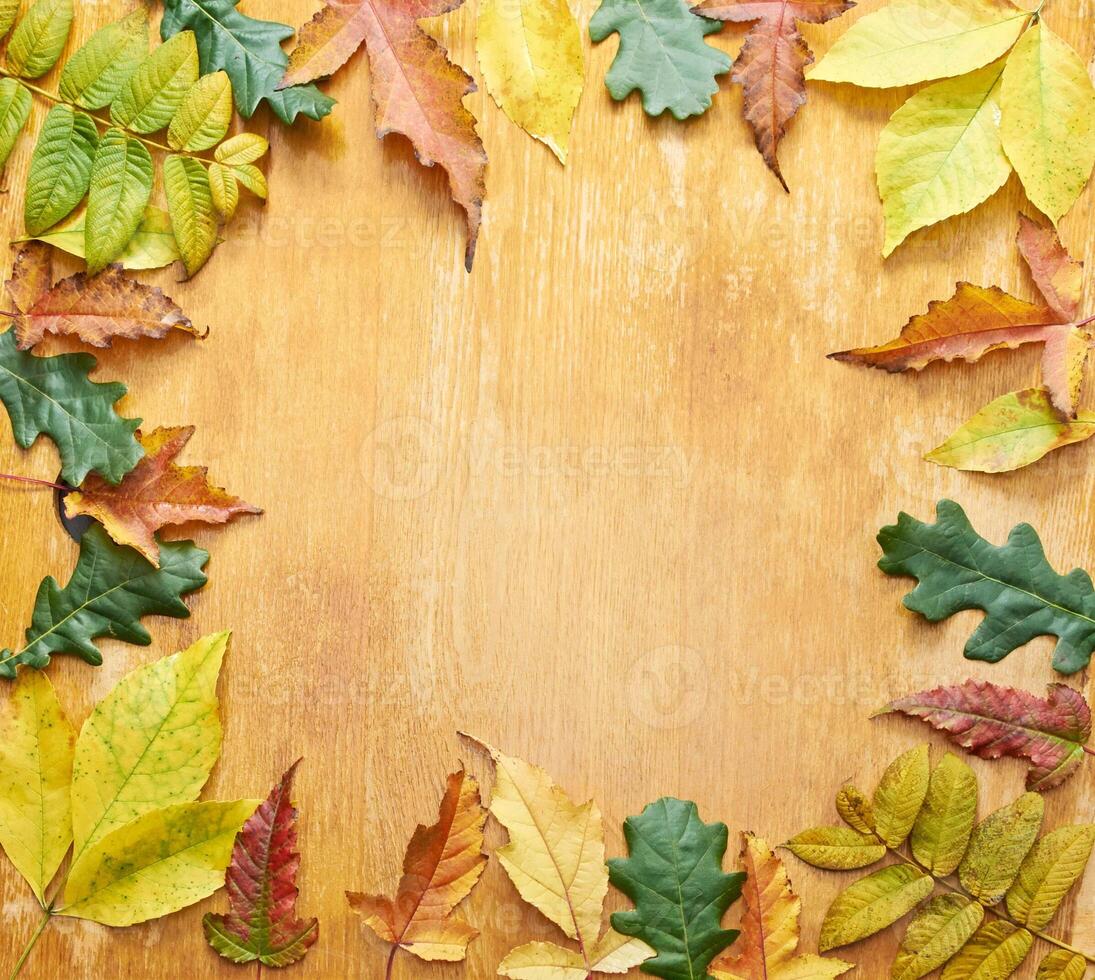 Autumn leaves frame on wooden background with colorful foliage arrangement. photo