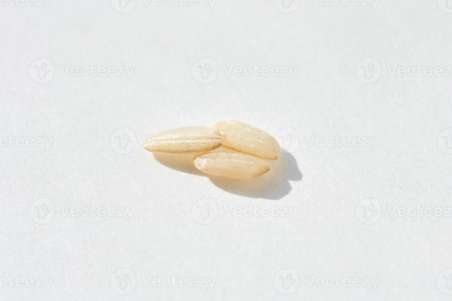 Close up of three fresh white rice grains on a bright background. photo