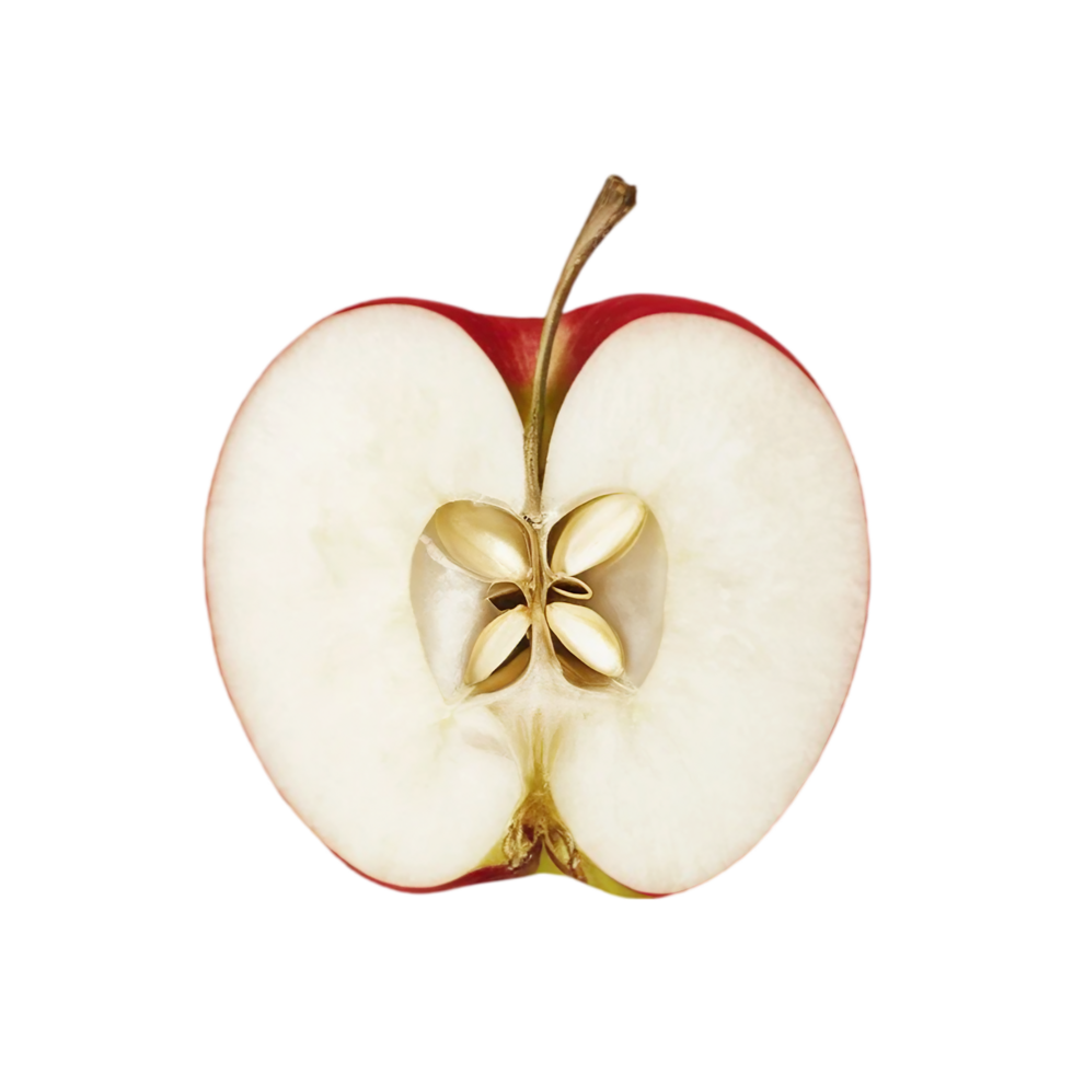 A minimalistic illustration of an apple cut in half, revealing the core and seeds within. png