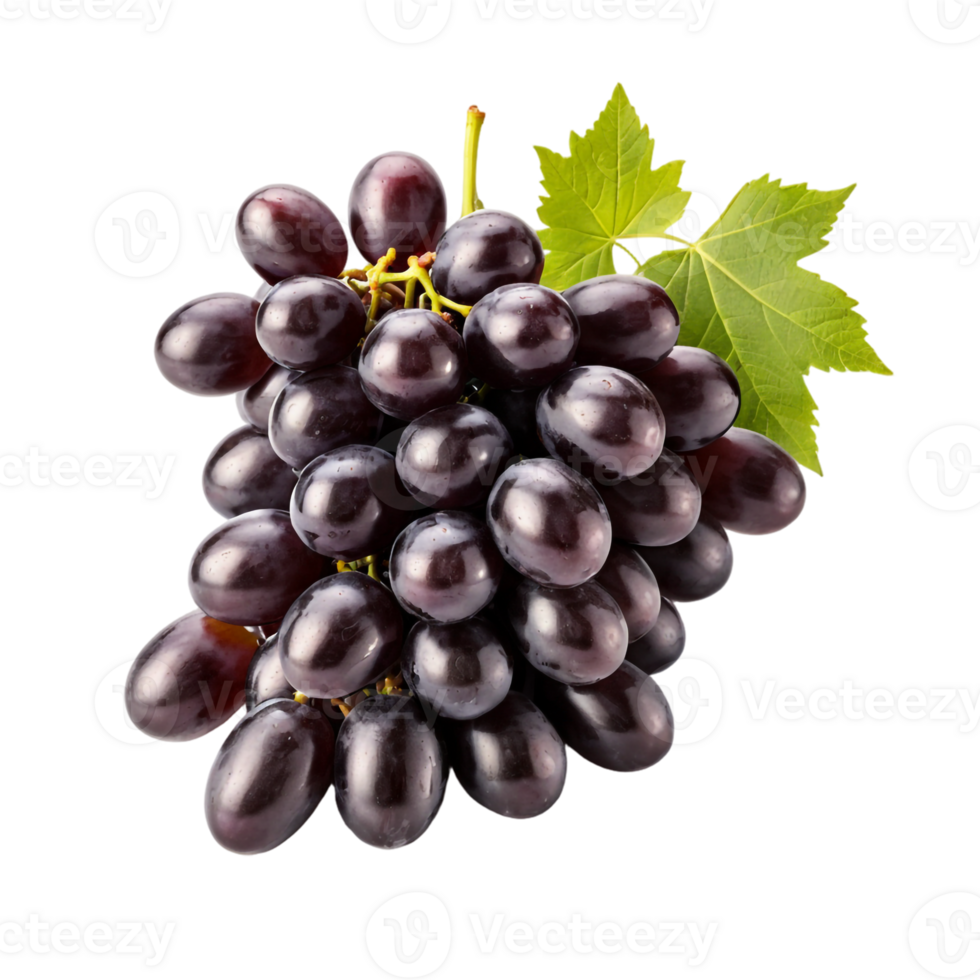 Black Grapes with Stem and Leaf, Transparent . png