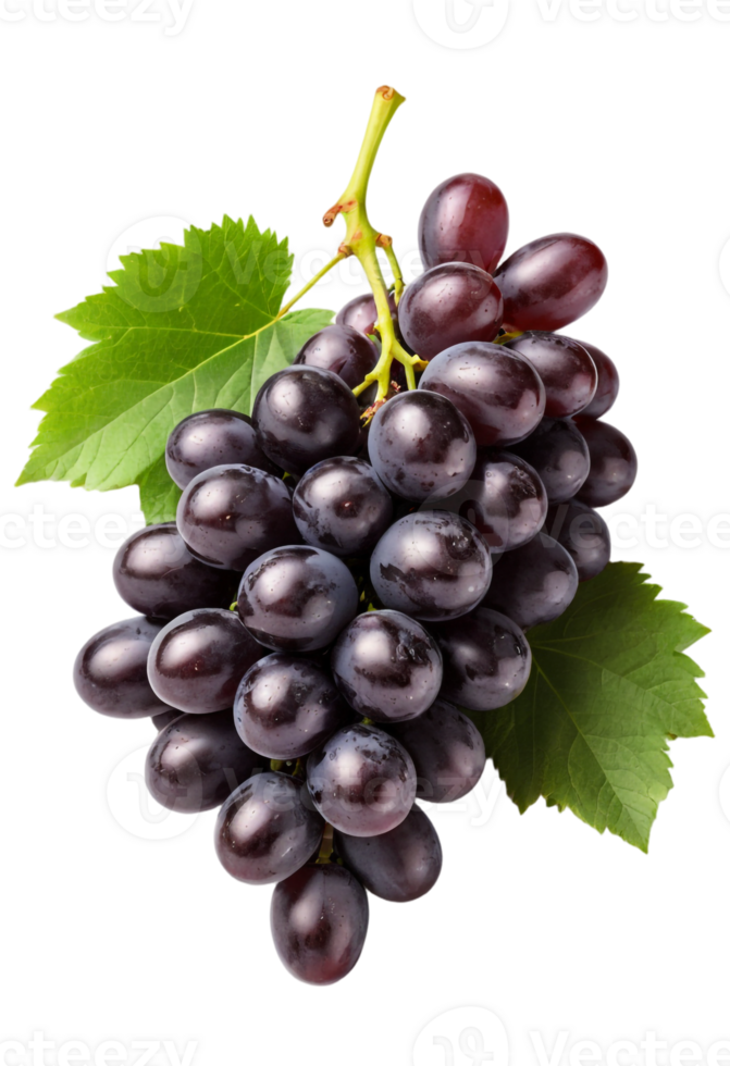 Premium Quality Black Grapes for Digital Use, Format. png