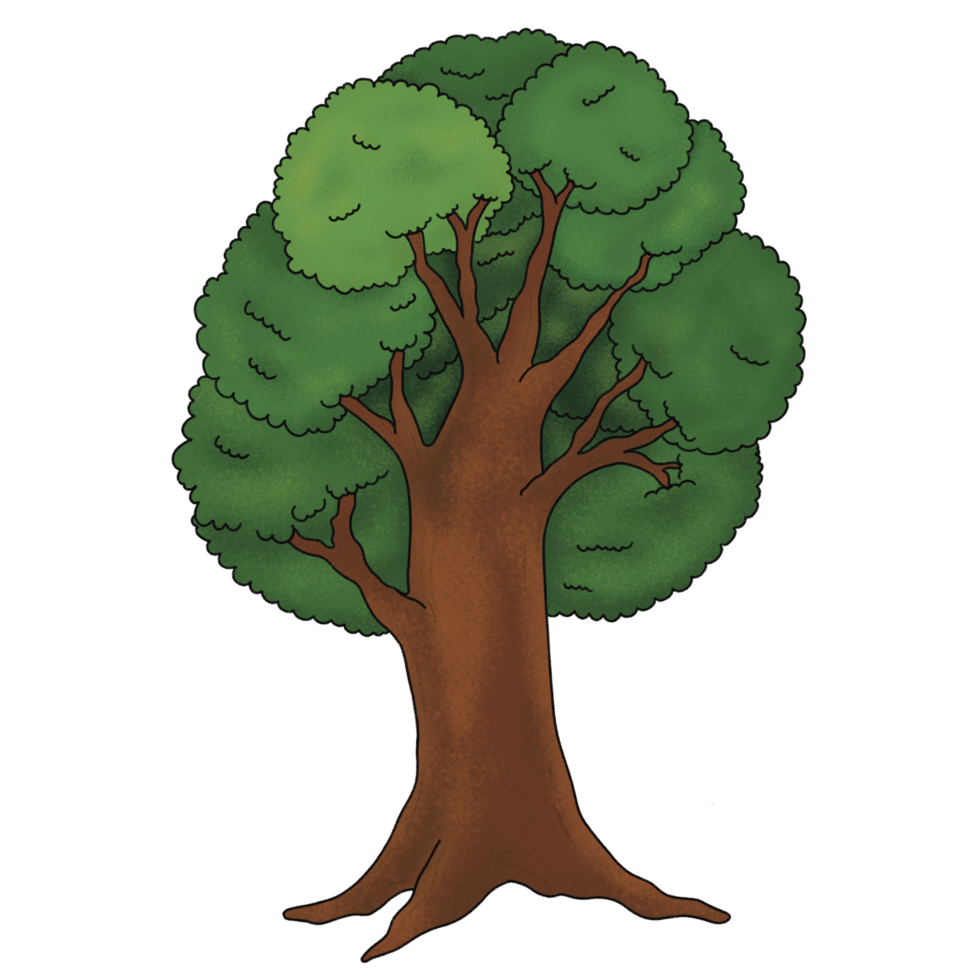 Tree green leaves png