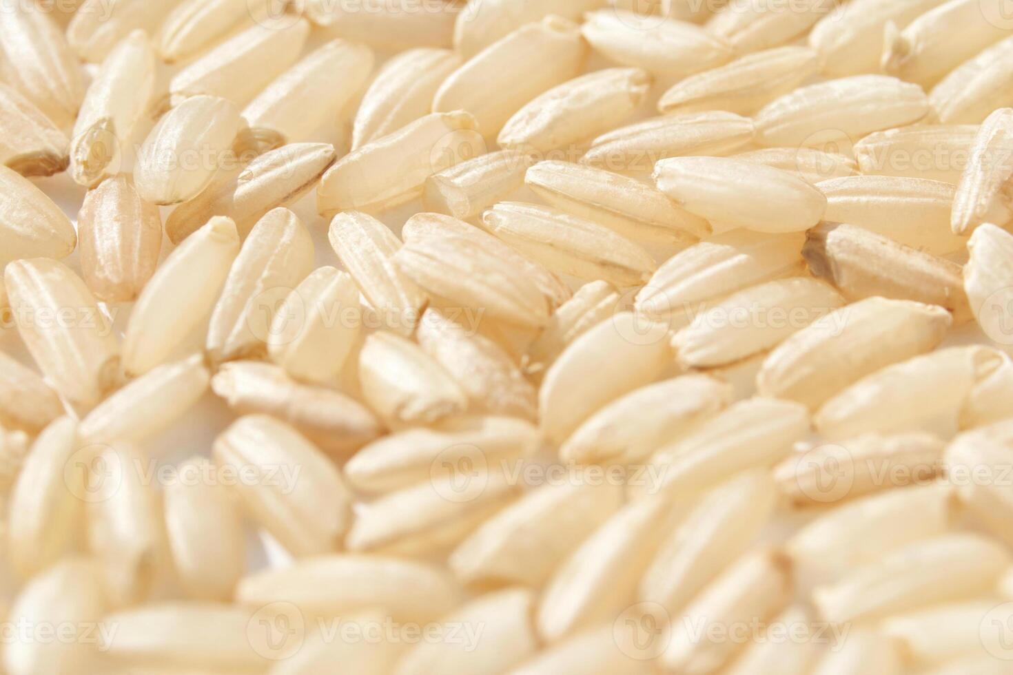 Close up of uncooked white rice grains showing texture and details in natural light. photo