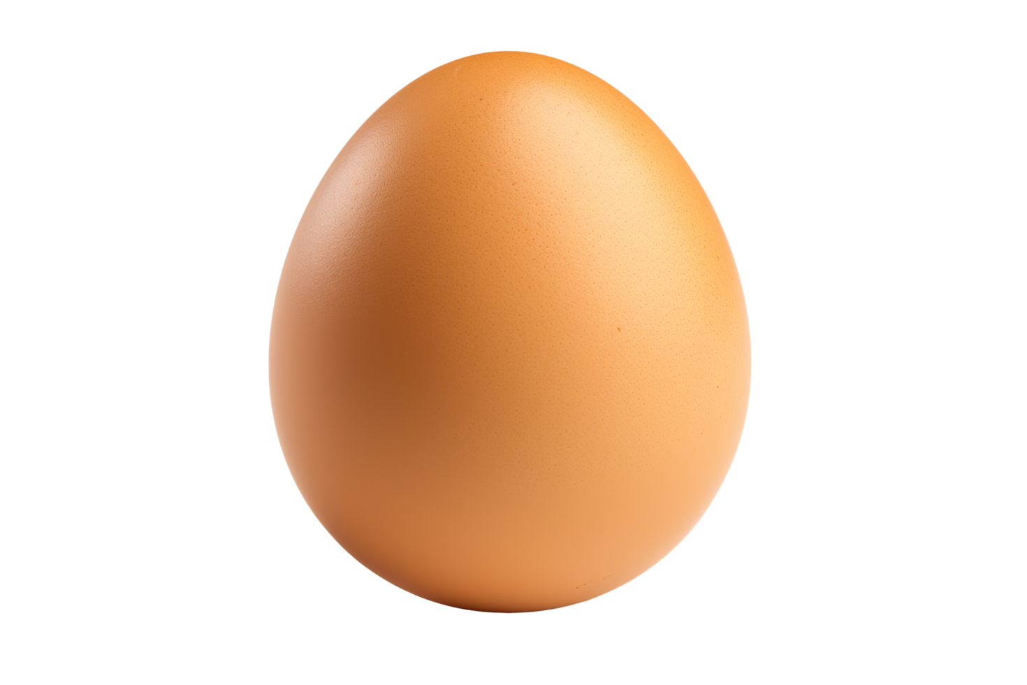 An egg isolated on transparent background png