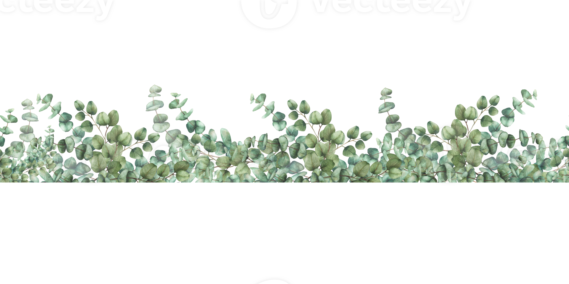 Watercolor Eucalyptus seamless border Greenery pattern with silver dollar green branches hand drawn botanical illustration for church, baptism, wedding fabric, wrapping paper isolated from background png