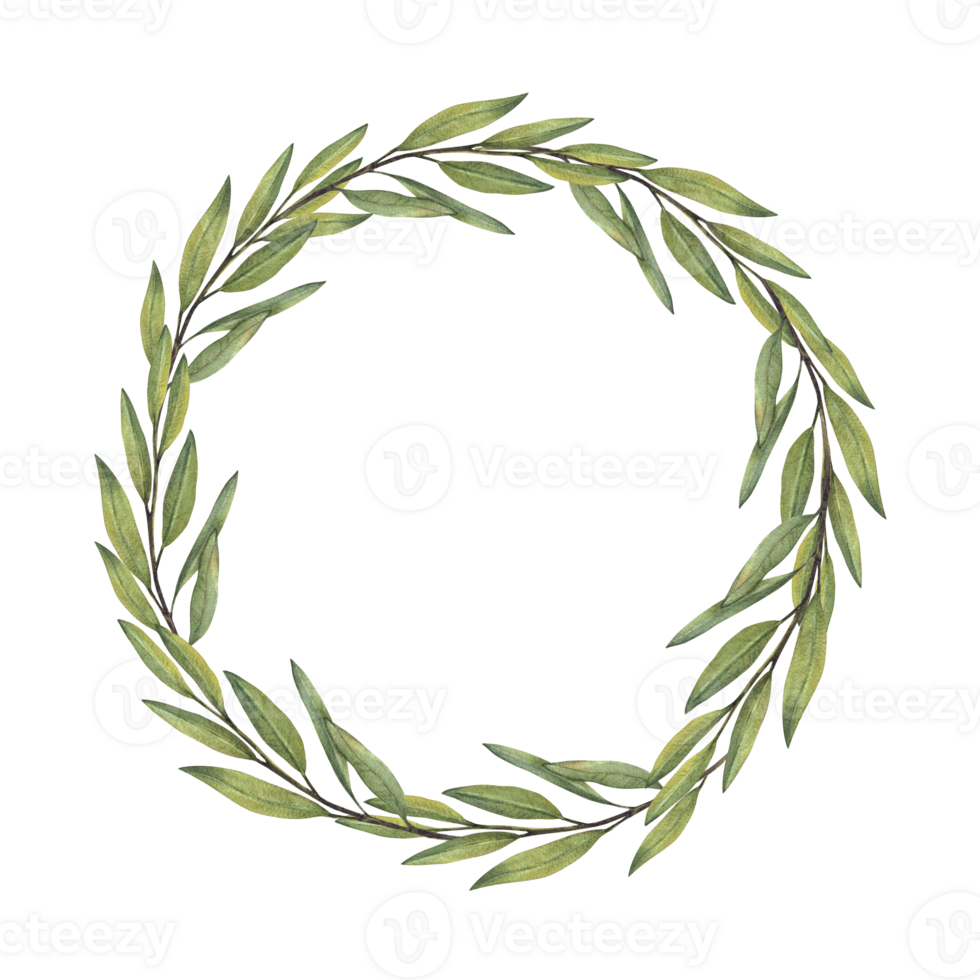 Olive tree branch wreath. Fruitless twigs, green leaves watercolor painted circle frame. Botanical floral template for card, cosmetic label template. Realistic illustration Isolated from background png