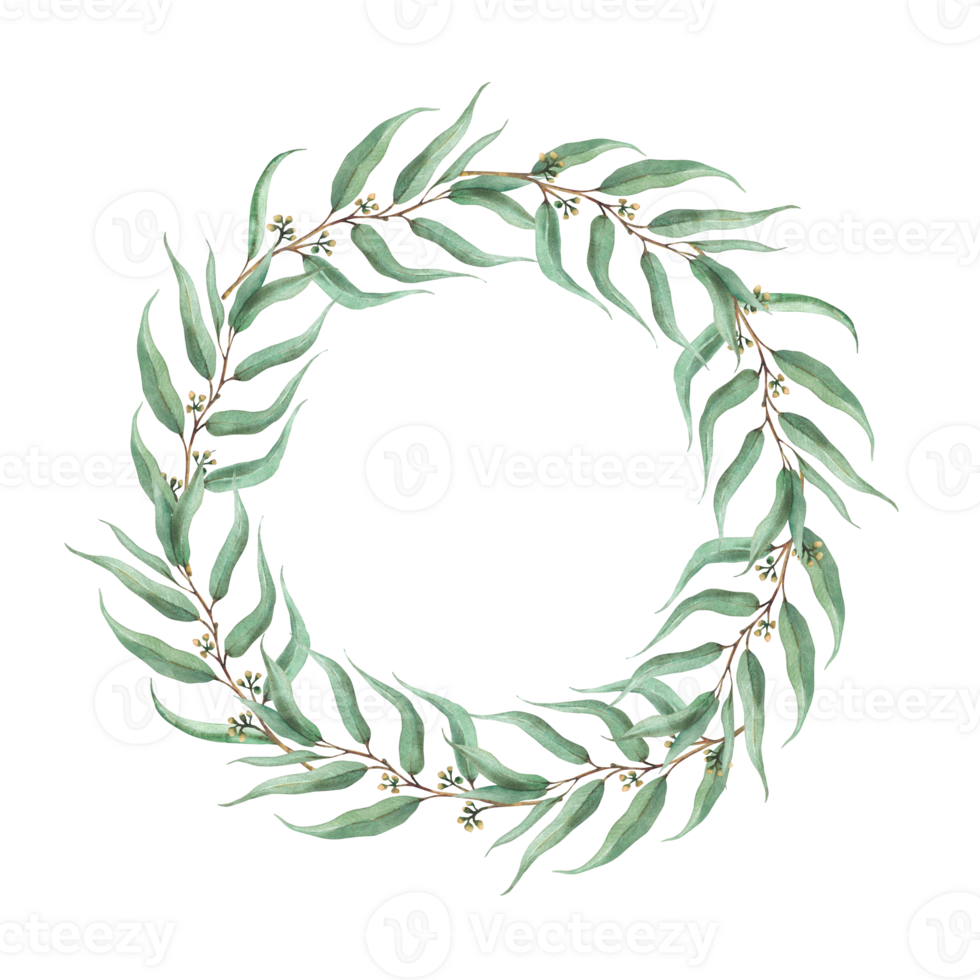 Eucalyptus seeded plant branches wreath. Watercolor circle frame with green leaves and buds. Hand drawn greenery illustration template for wedding, greeting card. Clipart isolated from background png