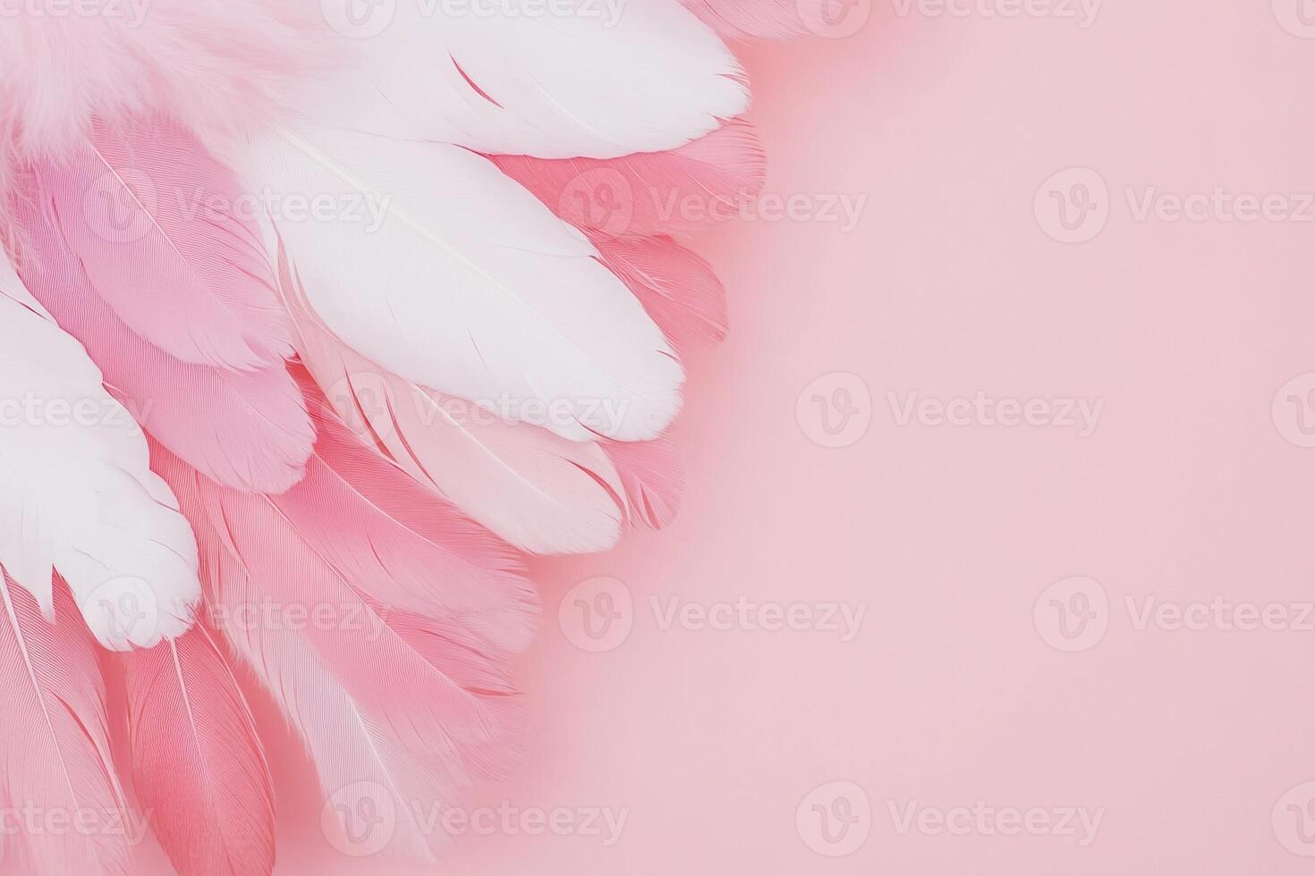 Pink and white feather arrangement on soft pink background. photo