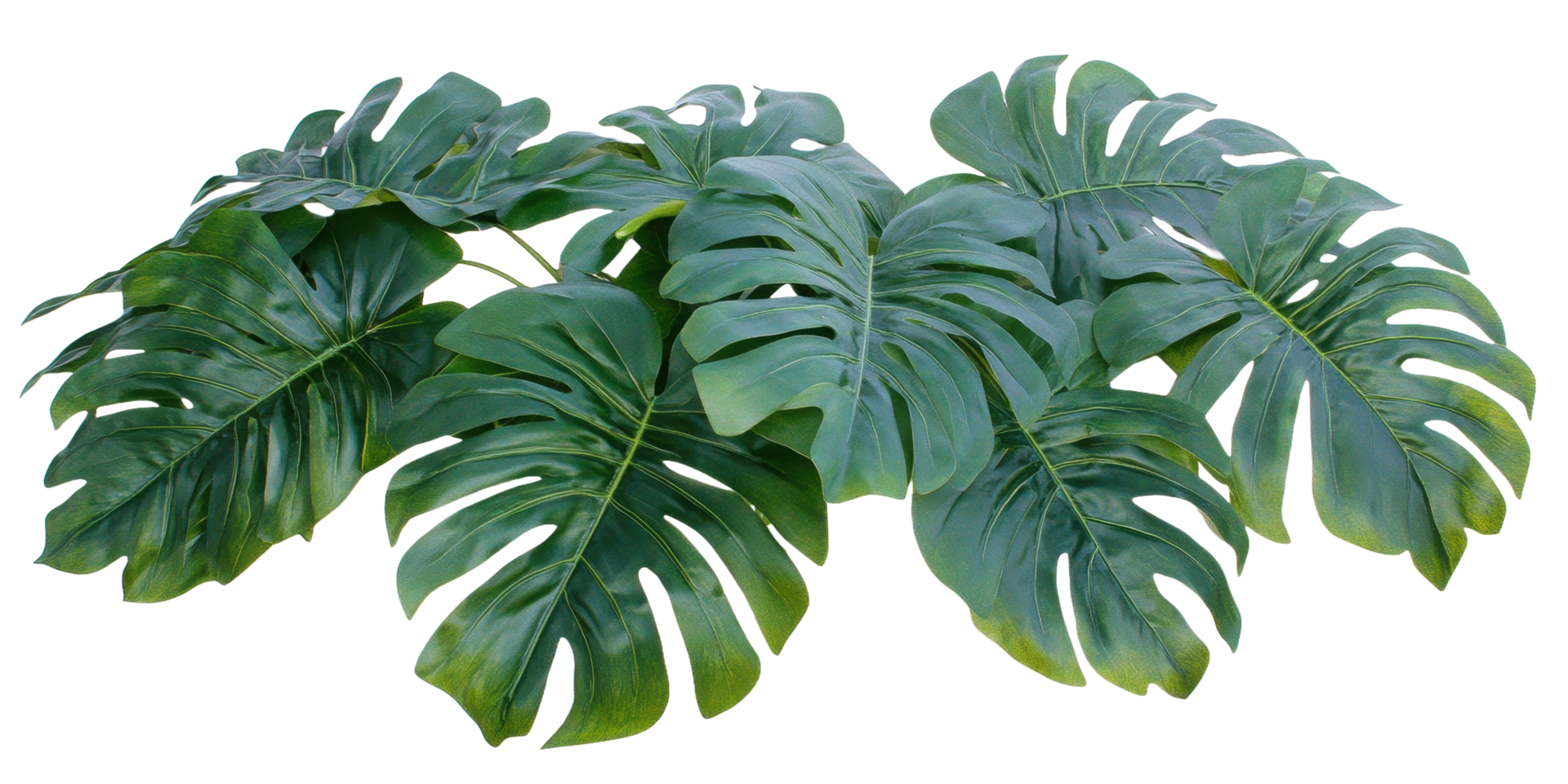 Lush green leaves arranged together in a leafy plant composition png