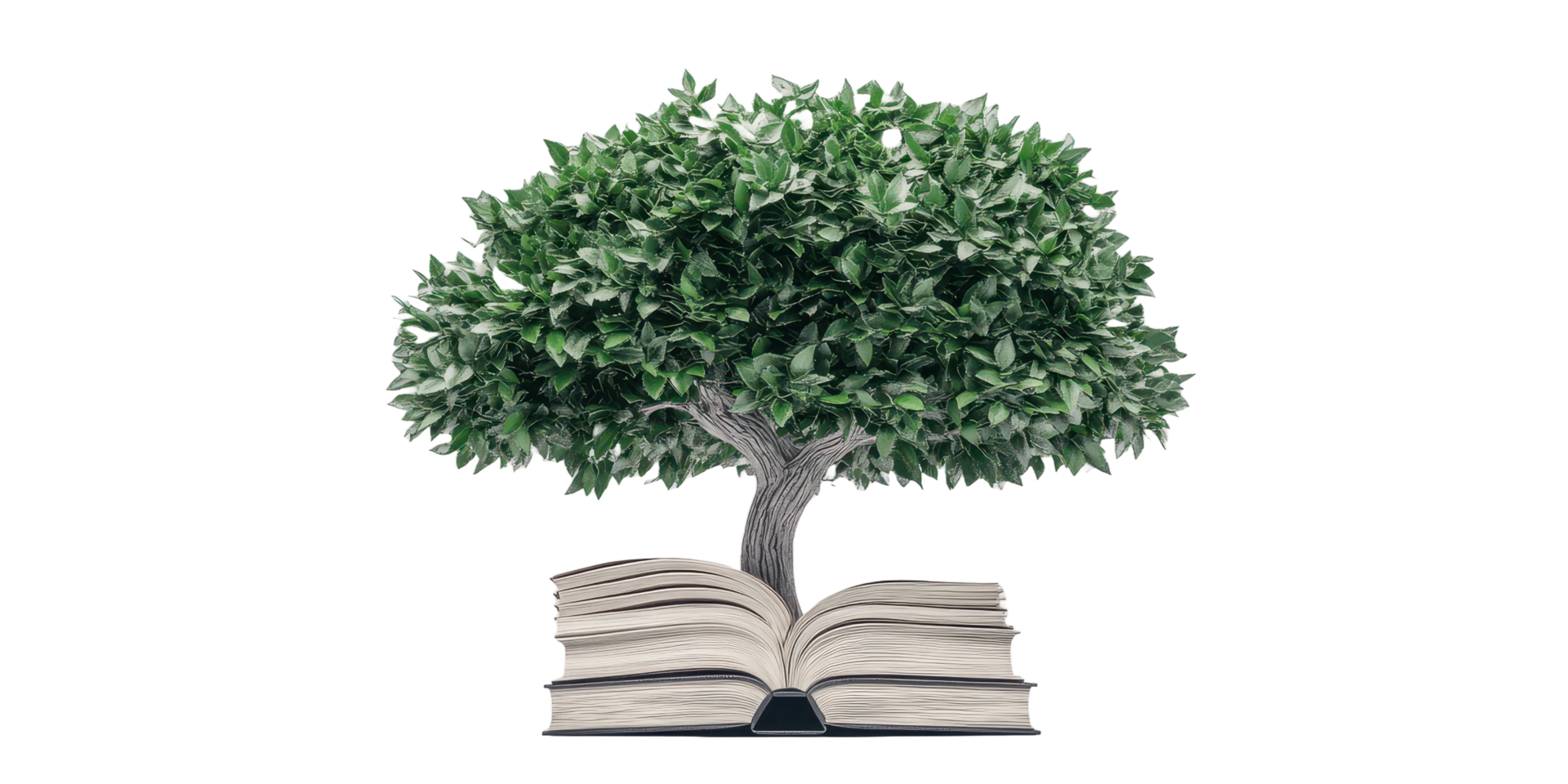 A stylized tree growing out of an open hardcover book png