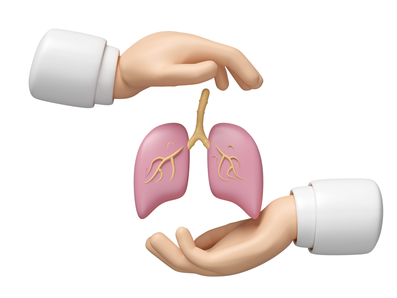 3d doctor hands protecting lung isolated. world pneumonia day, check lung health, organs concept, 3d illustration render png