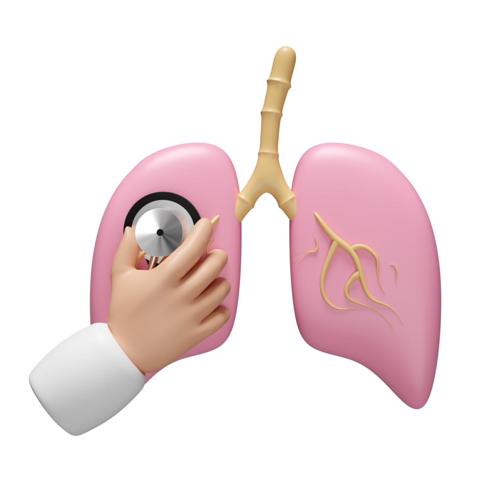 3d Doctor hand holding stethoscope with realistic human lung isolated. world pneumonia day, check lung health, organs concept, 3d illustration render png