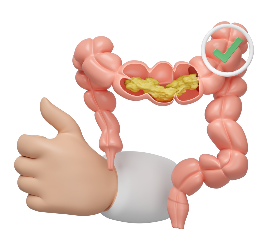 3d human colon cross section with waste in the intestine, doctor hand raising thumb, check mark isolated. check colon health, constipation concept, 3d illustration render png