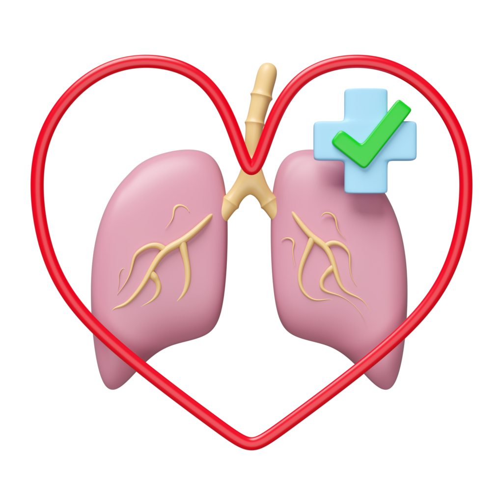 3d realistic human lung with heart, cross, check mark isolated. world pneumonia day, check lung health, organs concept, 3d illustration render png
