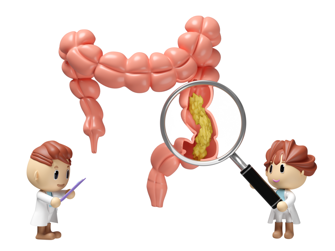3d human colon cross section with waste in the intestine, doctor hand holding magnifying glas, check list isolated. check colon health, constipation concept, 3d illustration render png