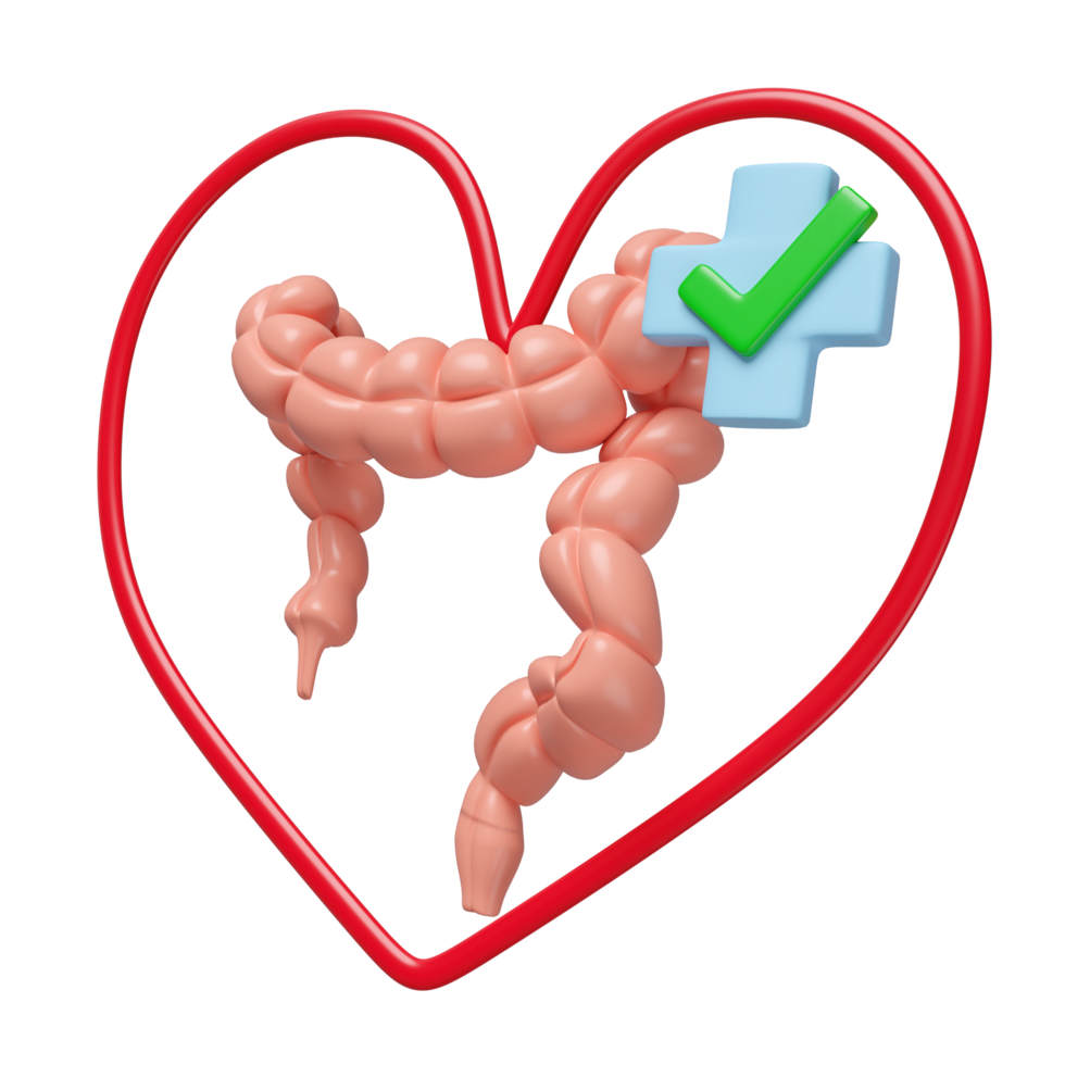 3d realistic human colon with heart, cross, check mark isolated. check colon health, love health concept, 3d illustration render png