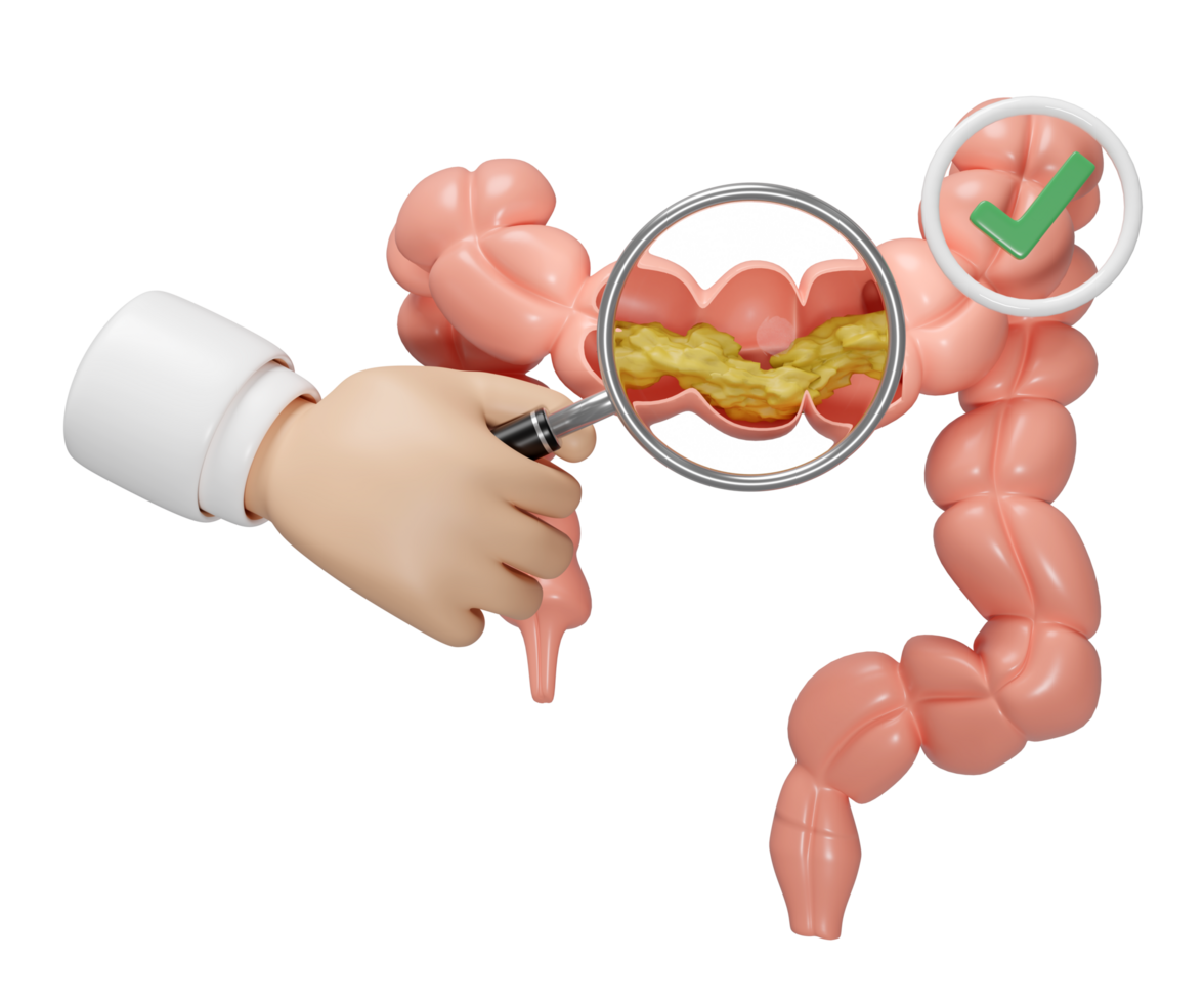 human colon cross section with waste in the intestine, doctor hand holding magnifying glas, check mark isolated. check colon health, constipation concept, 3d illustration render png