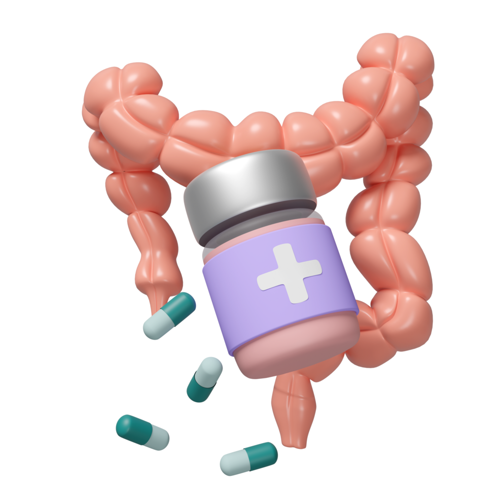 3d realistic human colon with capsule medicine, medicine bottle isolated. check colon health, organs concept, 3d illustration render png