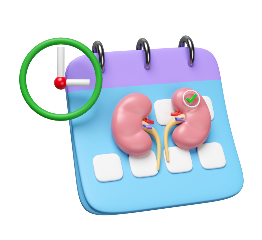3d calendar with kidney, clock isolated. check kidney health, organs concept, world kidney day concept, 3d illustration render png