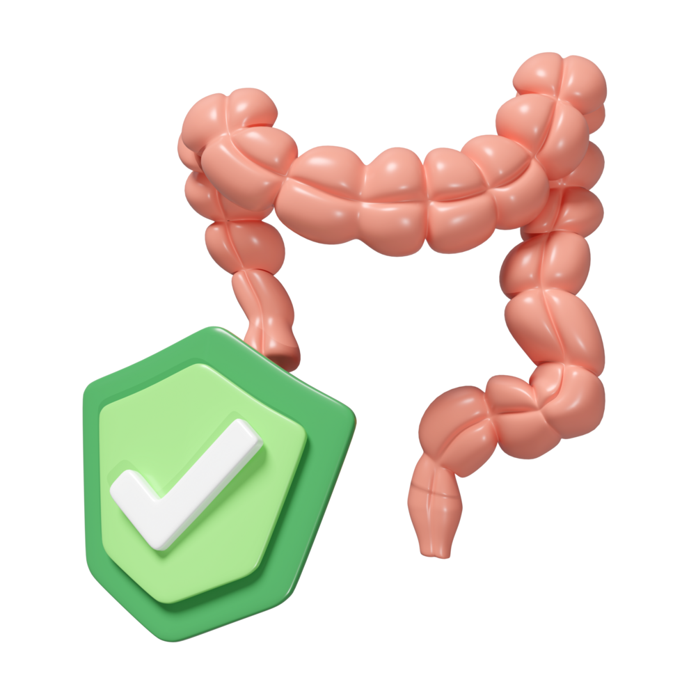 3d healthy colon with shield isolated. check colon health concept, 3d illustration render png
