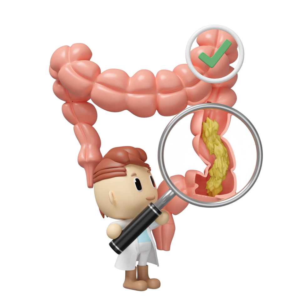 3d colon cross section with waste in the intestine, doctor hand holding magnifying glas, check mark isolated. check colon health, constipation concept, 3d illustration render png