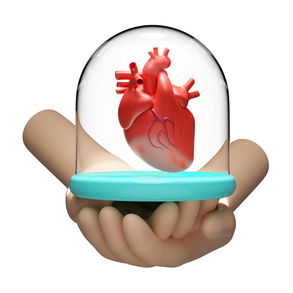 3d hand witn glass dome, realistic human heart isolated. heart disease prevention, health love, world heart day concept, 3d illustration render png