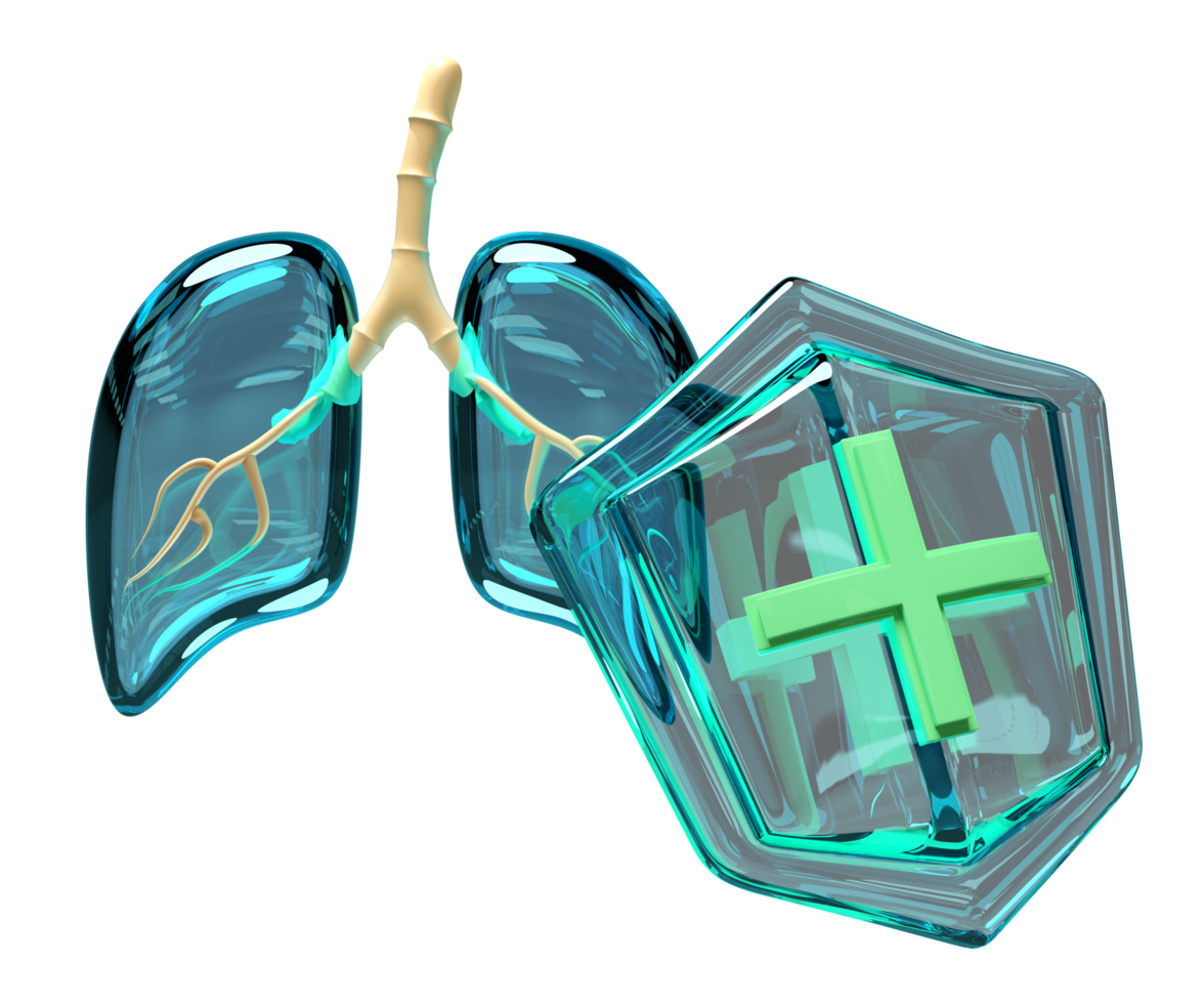 3d human lung transparent with shield isolated. world pneumonia day, check lung health, organs concept, 3d illustration render png