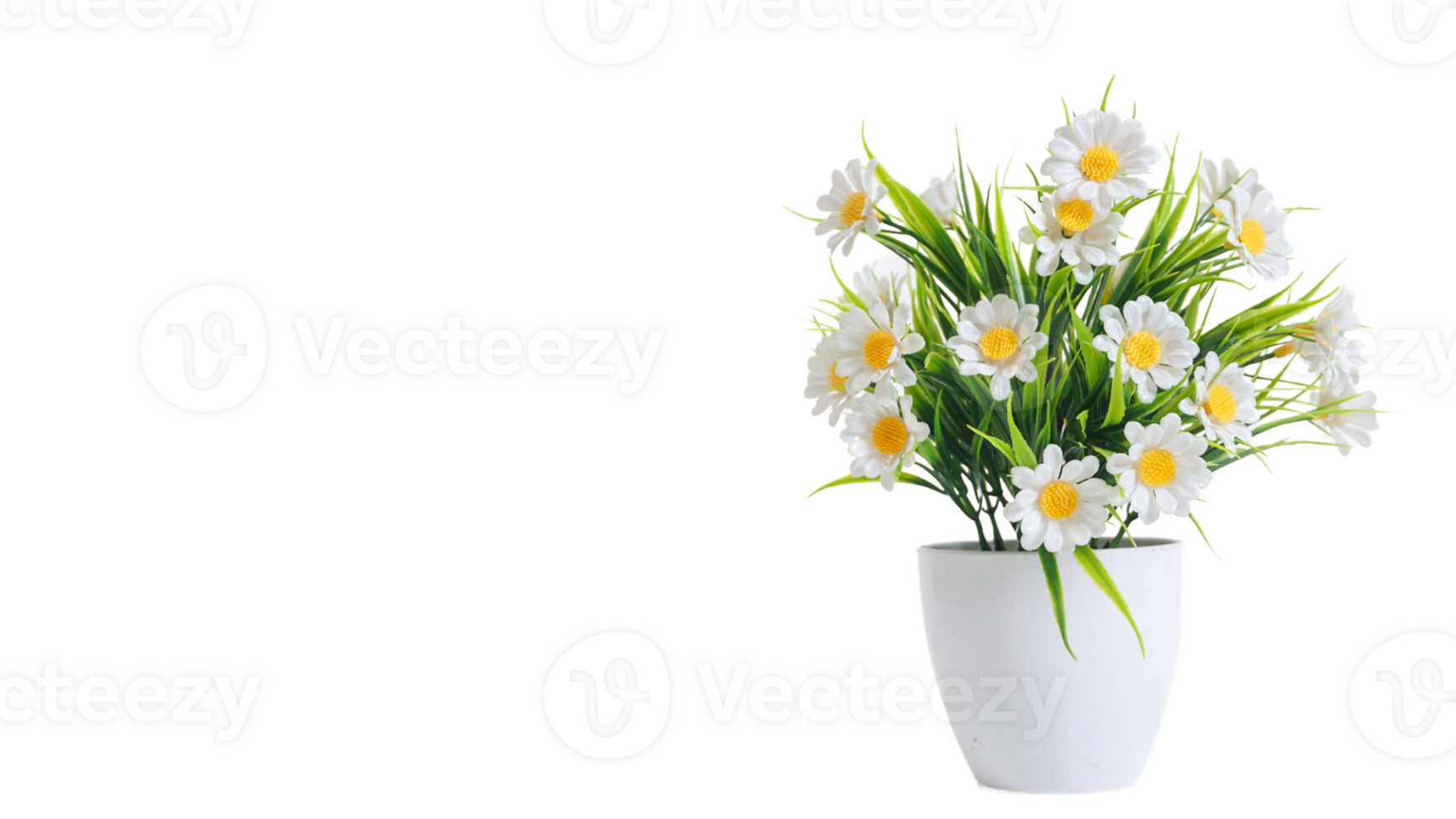 Artificial daisy flower in pot isolated on transparent background png