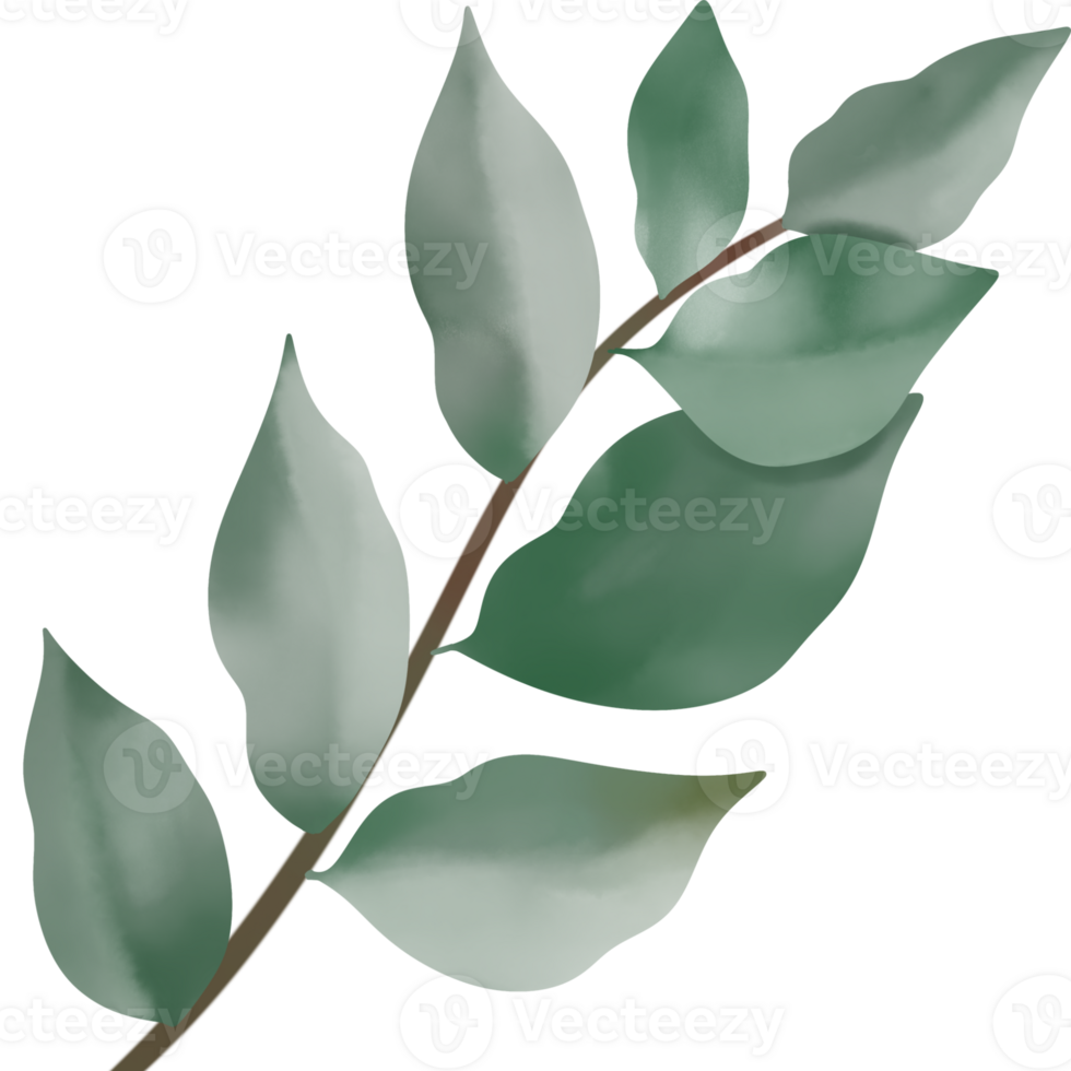 Illustration of green branch watercolor handdrawn. png