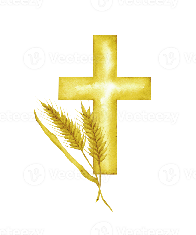 Golden cross and wheat ears. Watercolor composition with catholic religious symbols. For first communion, wedding, baprism greeting card, invitation. Hand drawn. Isolated png