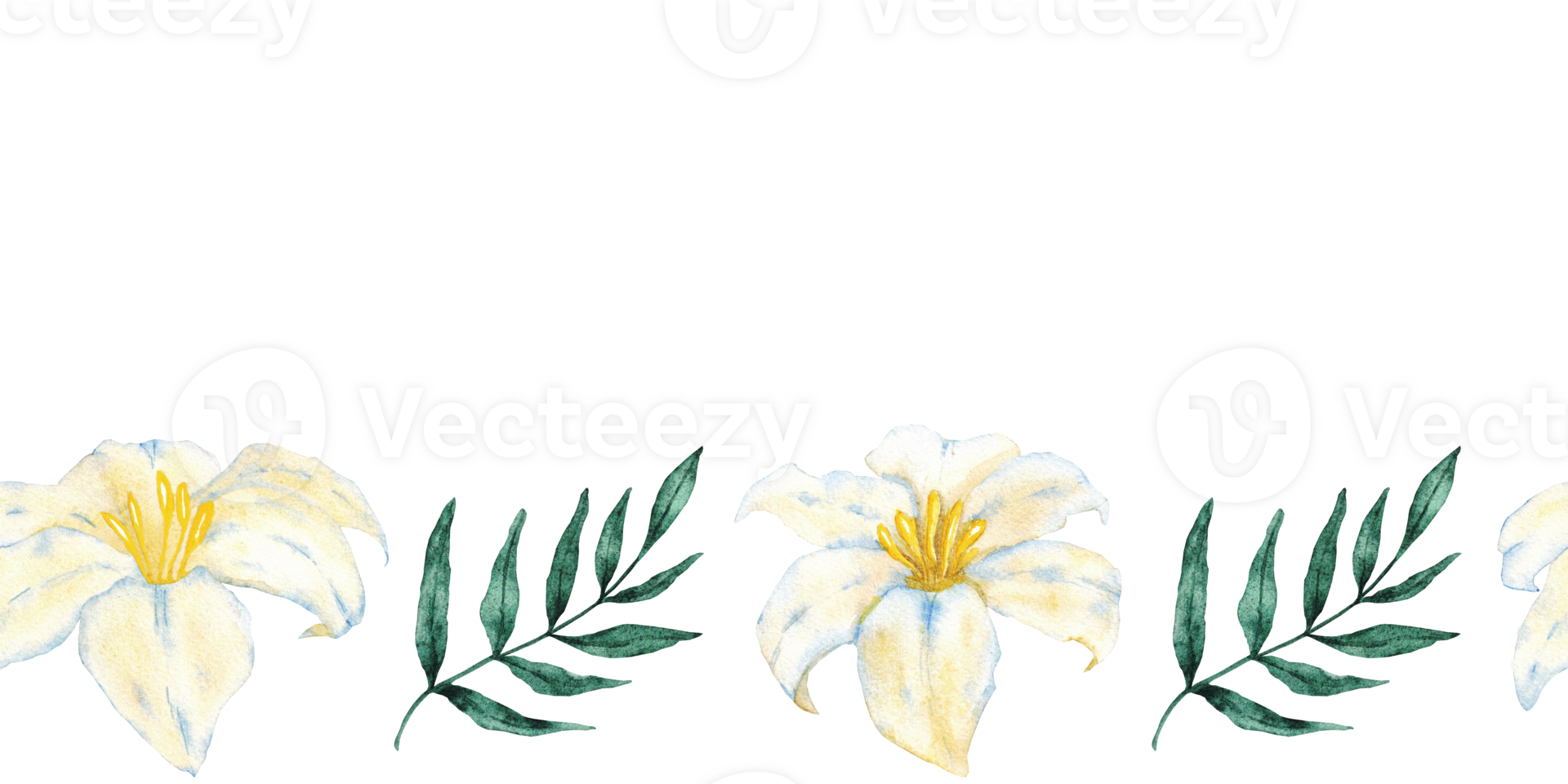 Seamless horizontal border of white flowers and green leaves. Hand drawn watercolor illustration. For first communion, baptism, wedding greeting cards, invitation, save the date, anniversary, birthday png