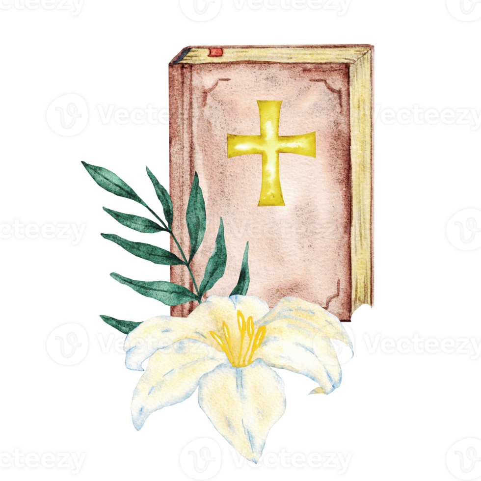 Watercolor illustration with Bible, white flower and green leaves. Hand drawn. Isolated. For first communion, baptism, wedding greeting cards, invitation. Save the date, anniversary, birthday party png