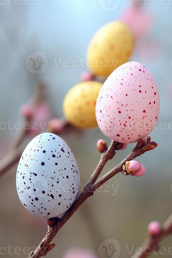 Three colorful eggs are sitting on a branch photo