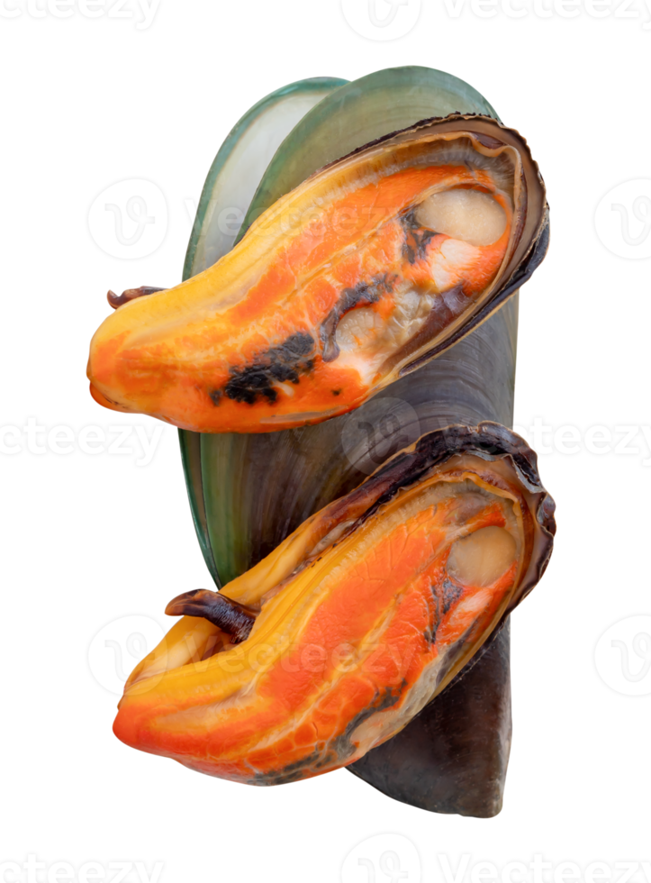 Three cooked green mussels in red meat and shell in pile isolated with clipping path in file format png