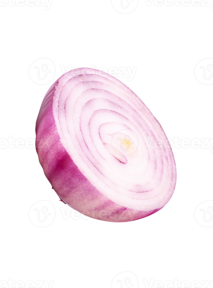 Side view of fresh red or purple onion bulb in half or slice in circle shape isolated with clipping path in file format png