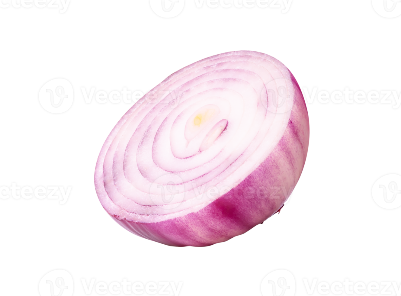 A half of fresh red or purple onion bulb or slice in circle shape isolated with clipping path in file format png