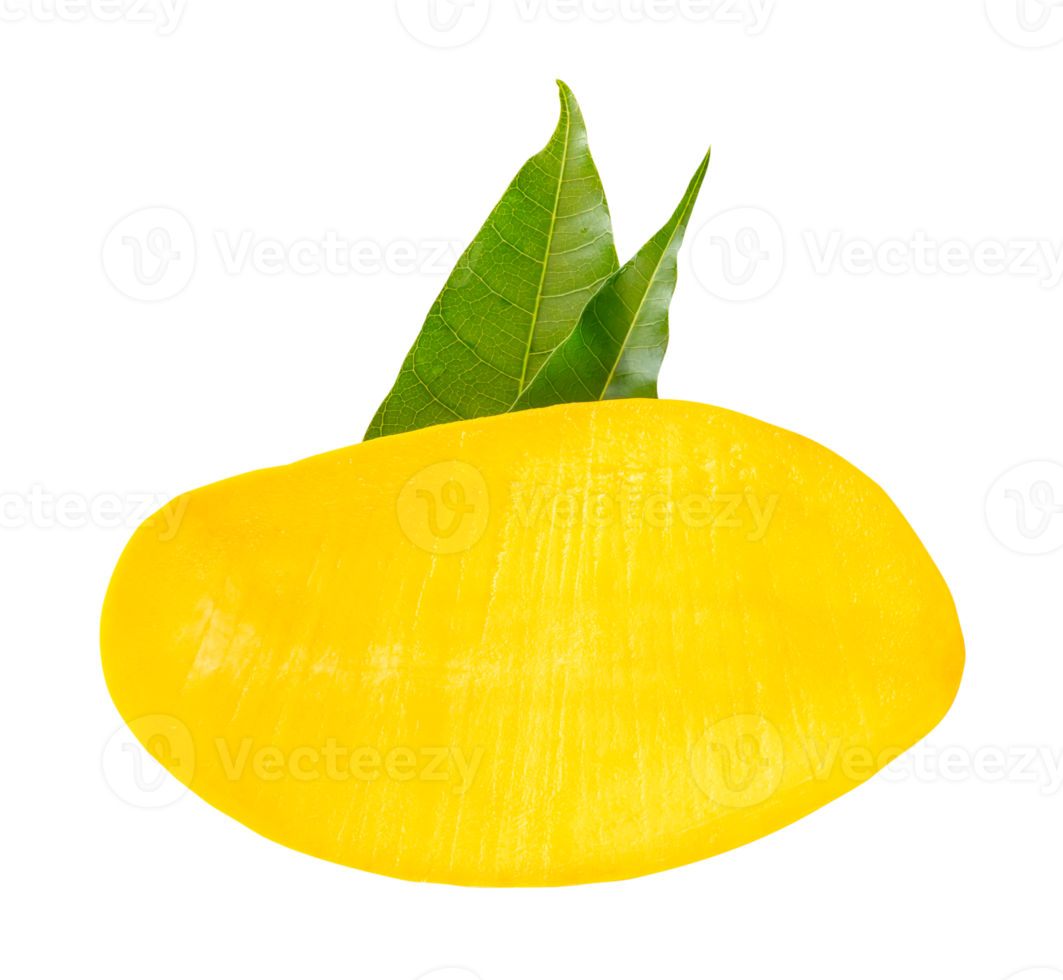A half of ripe yellow mango fruit with green leaves isolated with clipping path in file format png