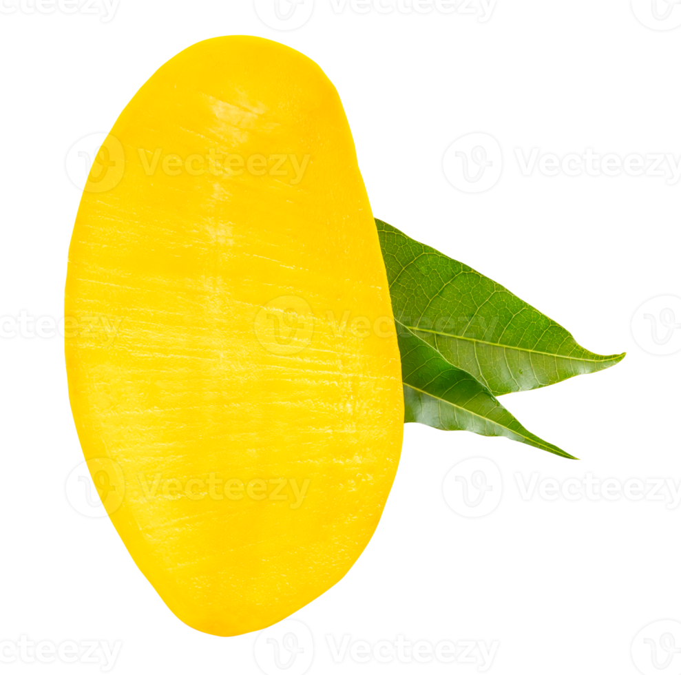 A half of ripe yellow mango fruit with green leaves in vertical isolated with clipping path in file format png