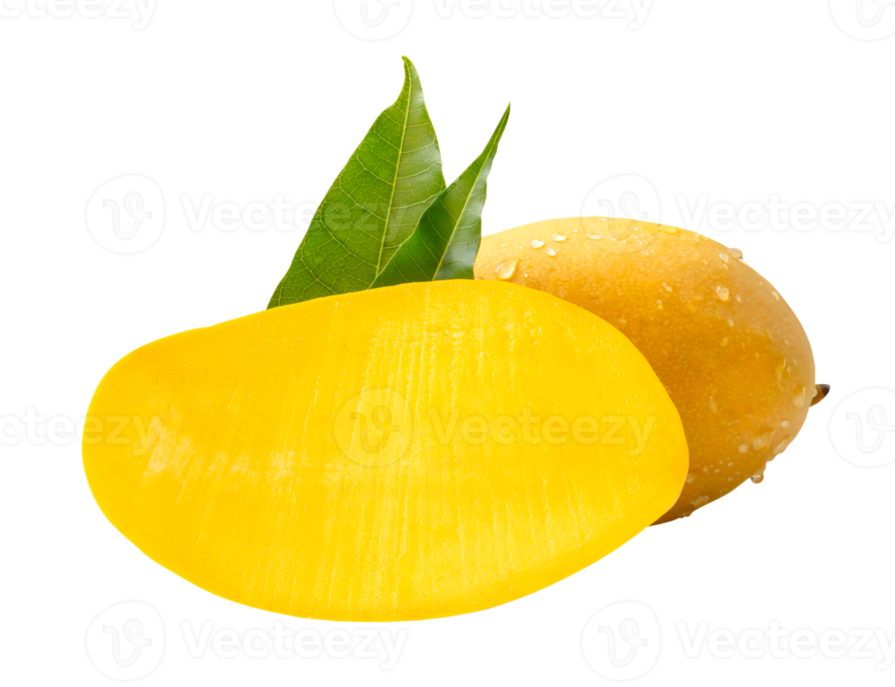 Single ripe yellow mango fruit and half with green leaves and water droplets in stack isolated with clipping path in file format png
