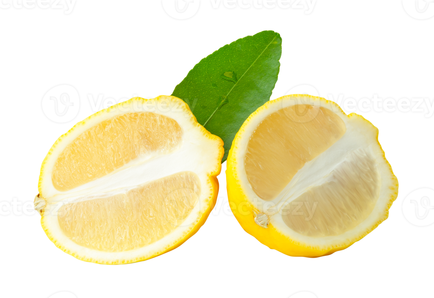 Front view of ripe yellow lemon fruit or slices in two ellipse or oval halves with green leaf isolated with clipping path in file format png