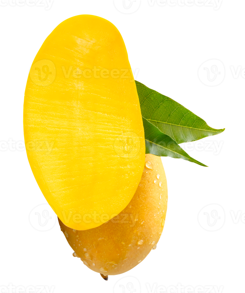 Yellow mango fruit and half with green leaves and water droplets in stack isolated with clipping path in file format png