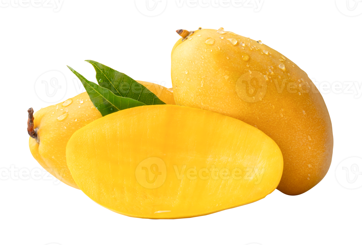 Two ripe yellow mango fruits and half with green leaves and water droplets in stack isolated with clipping path in file format png