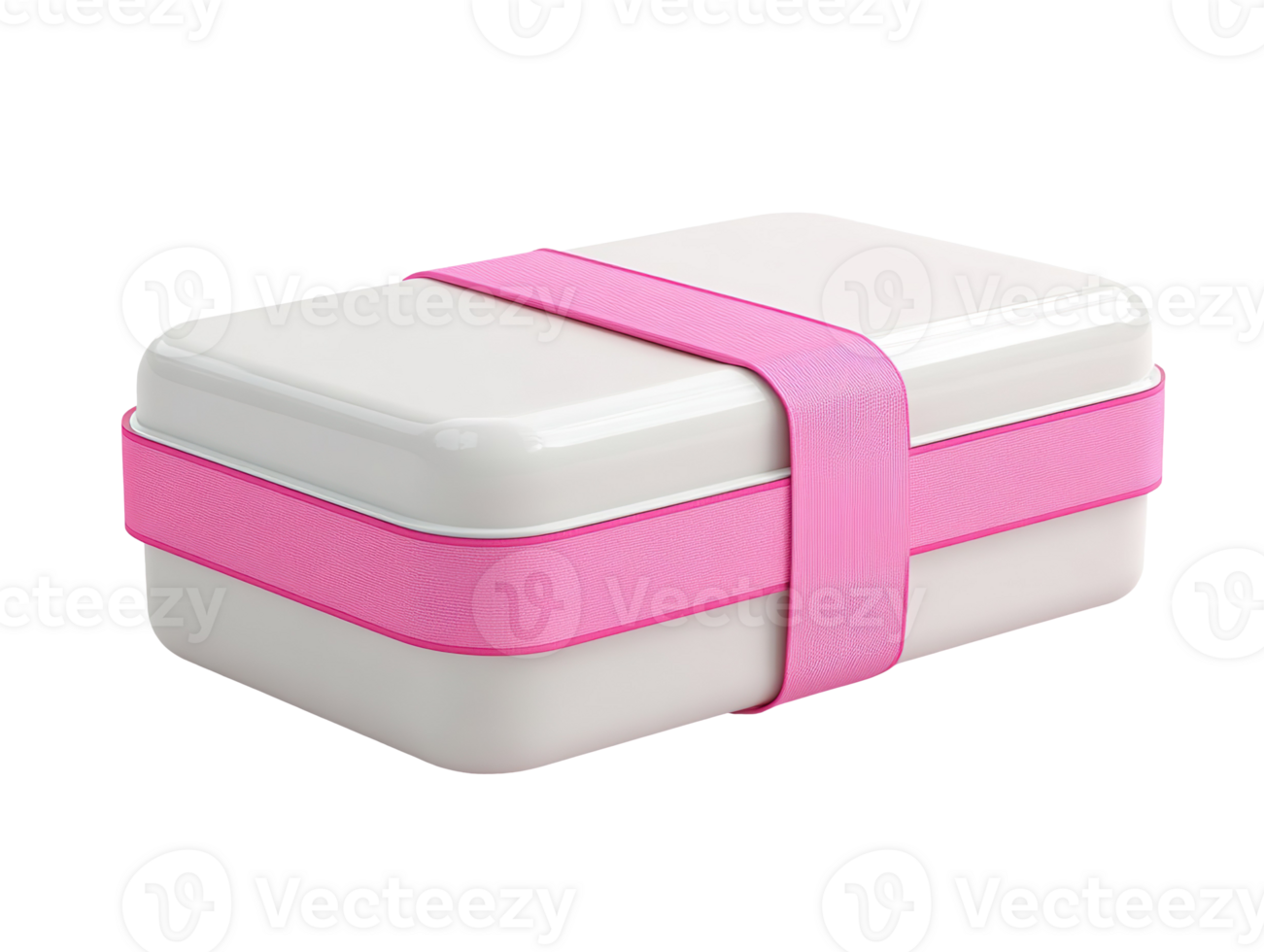 Neat lunch box isolated on a transparent background png