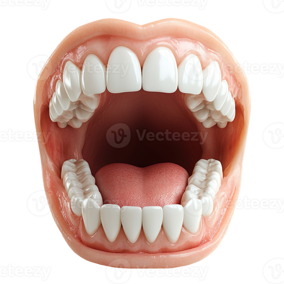 open mouth with teeth isolated on transparent background png