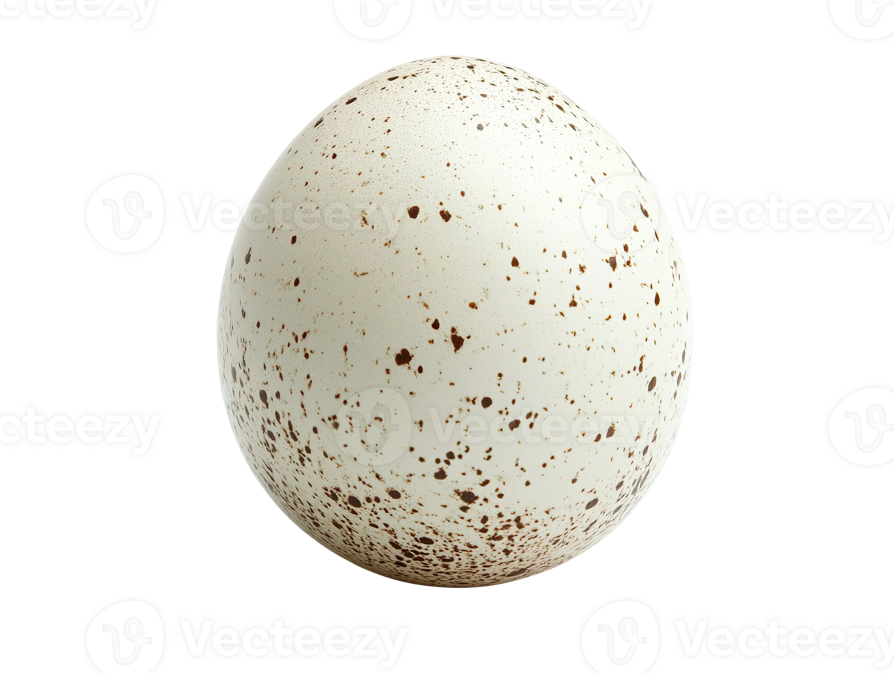 Ostrich Egg isolated on transparent background png