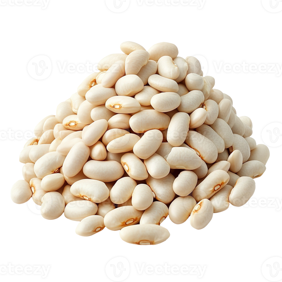 Pile of white beans isolated on transparent background png