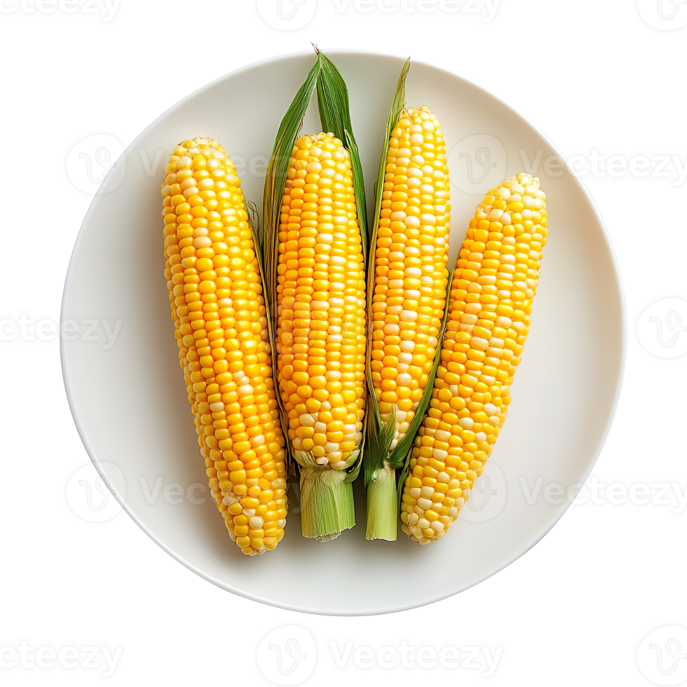 Plate of Corn on the Cob isolated on transparent background png