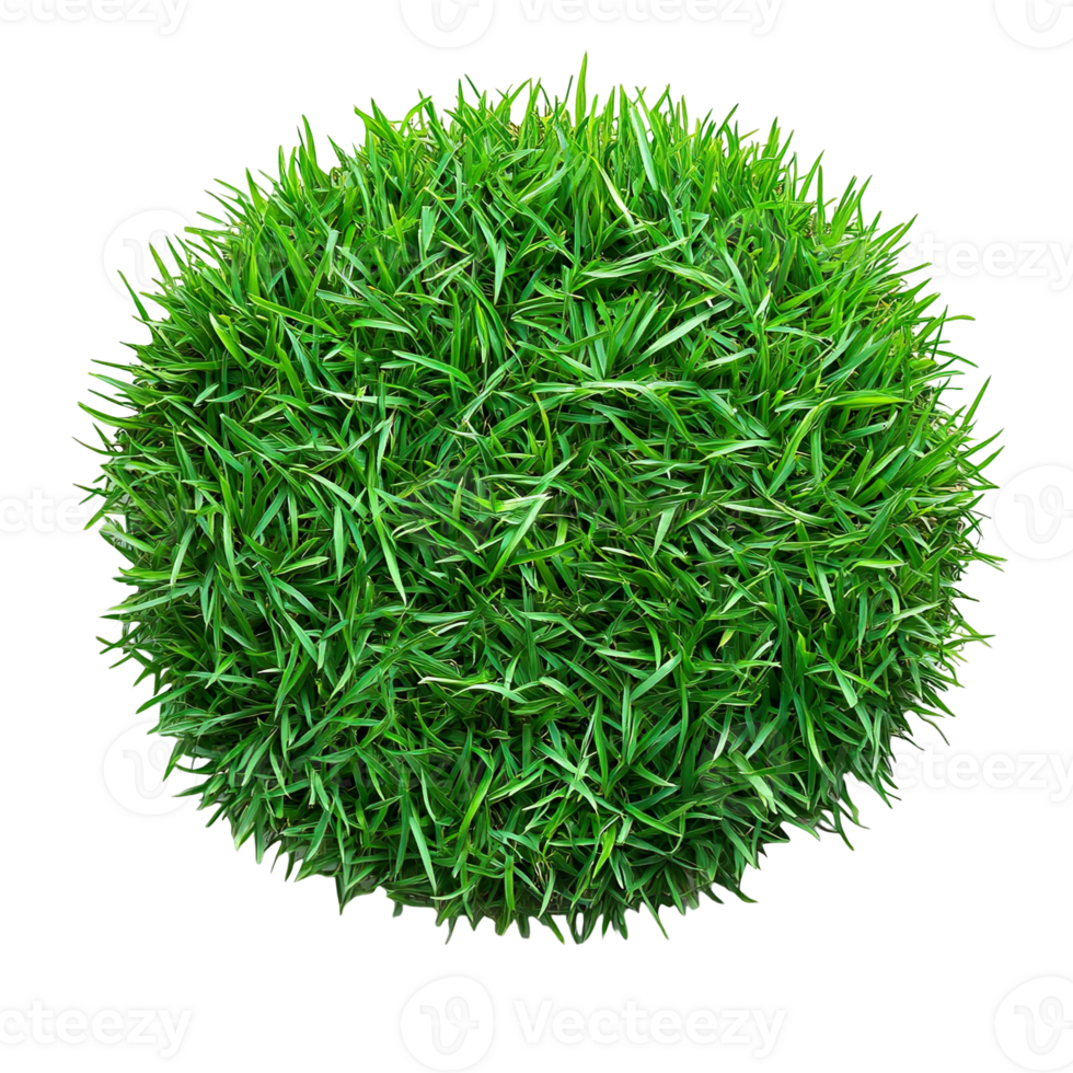Round patch of grass isolated on transparent background png